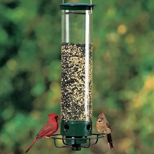 🔥Last Day Promotion 49% OFF🔥Squirrel-Proof Bird Feeder✨Free shipping on orders over $60✨