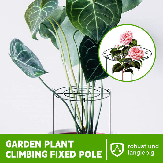 Garden Plant Climbing Fixed Pole