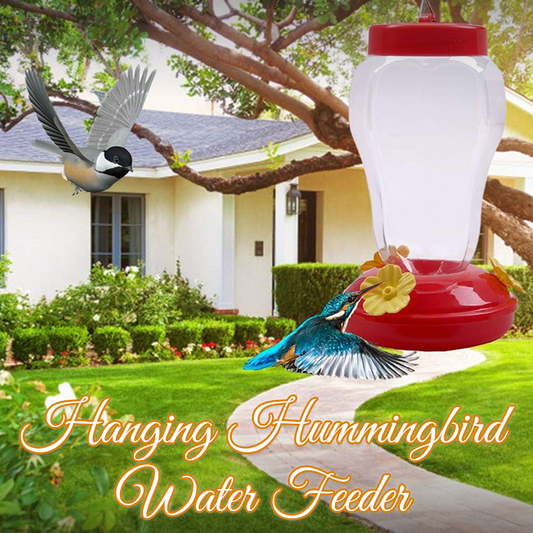 Hanging Hummingbird Water Feeder