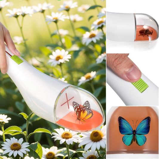 Children's Insect Trap Toys