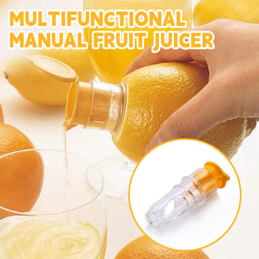 Small fruit juicer