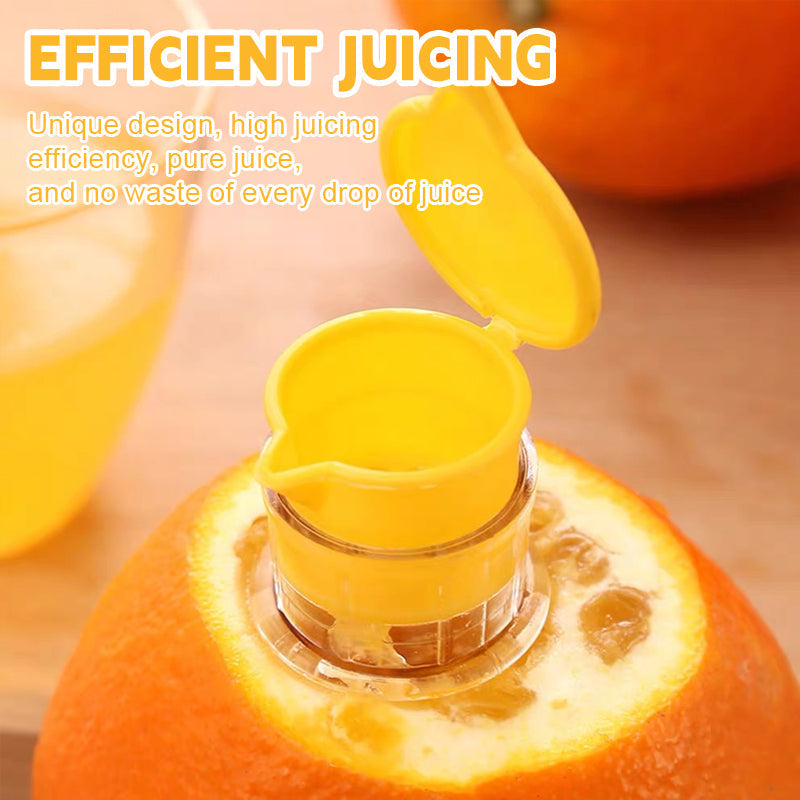 Small fruit juicer