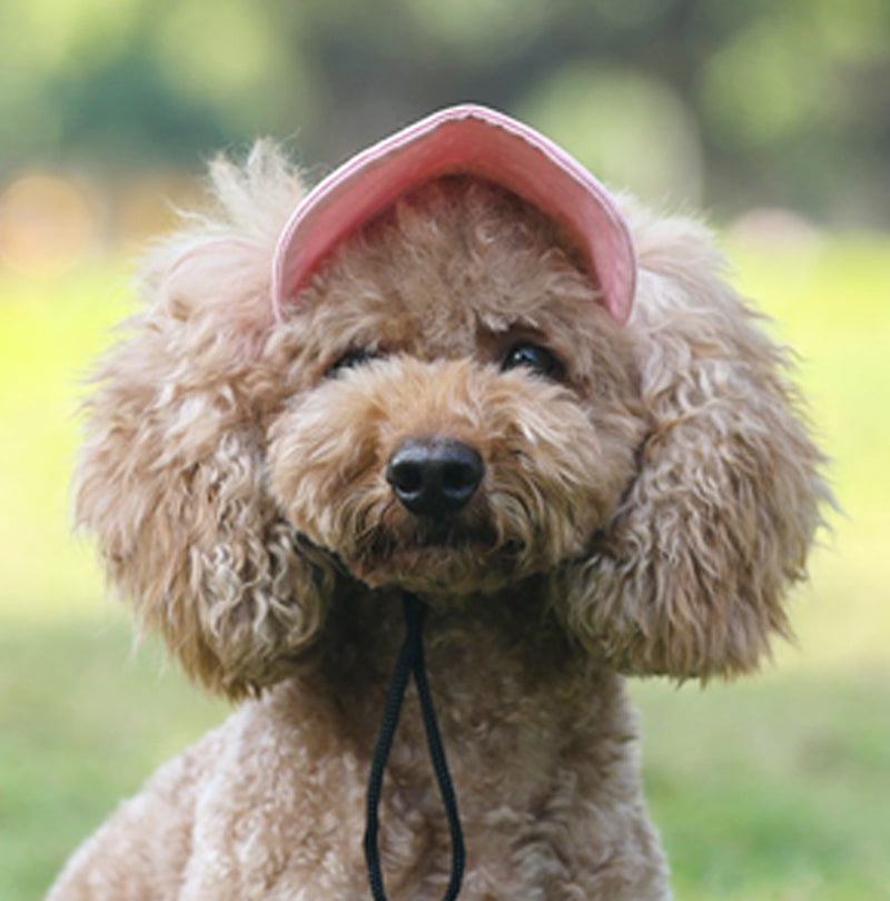 🔥Outdoor Sun Protection Hood For Dogs