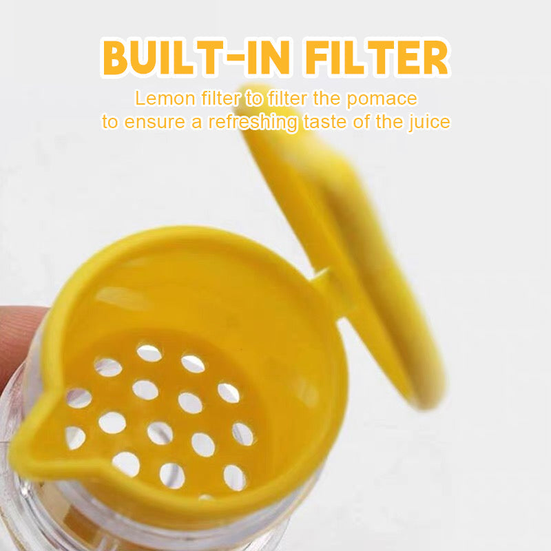 Small fruit juicer