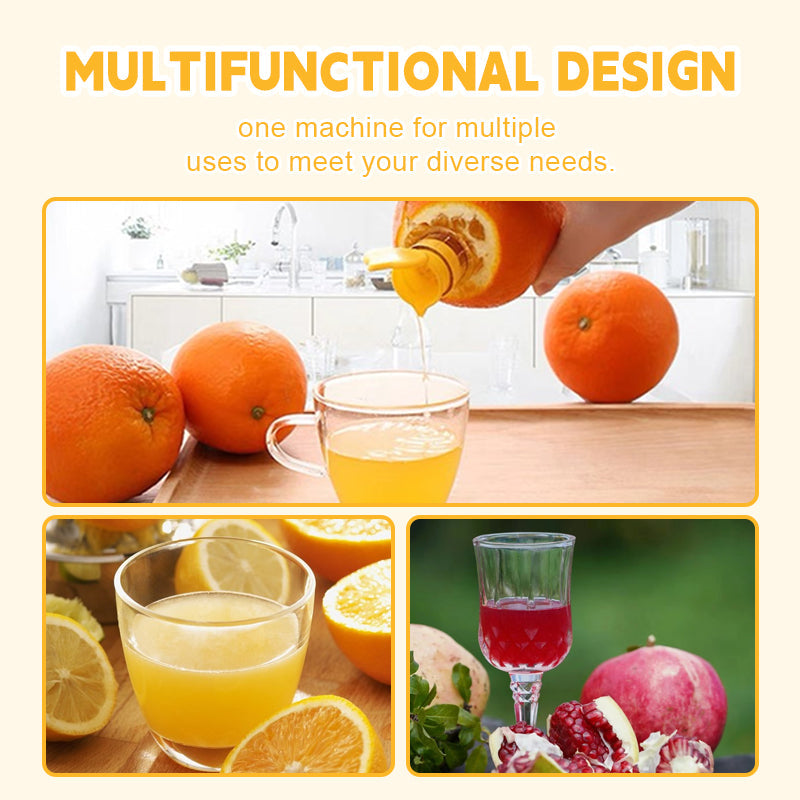 Small fruit juicer