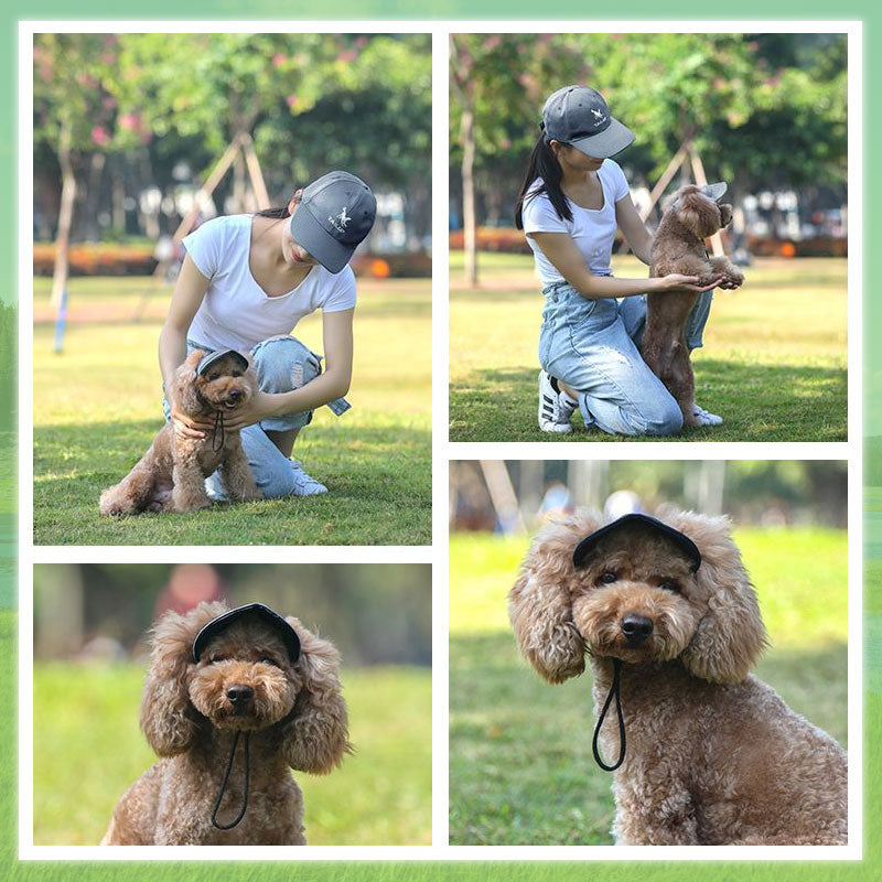 🔥Outdoor Sun Protection Hood For Dogs