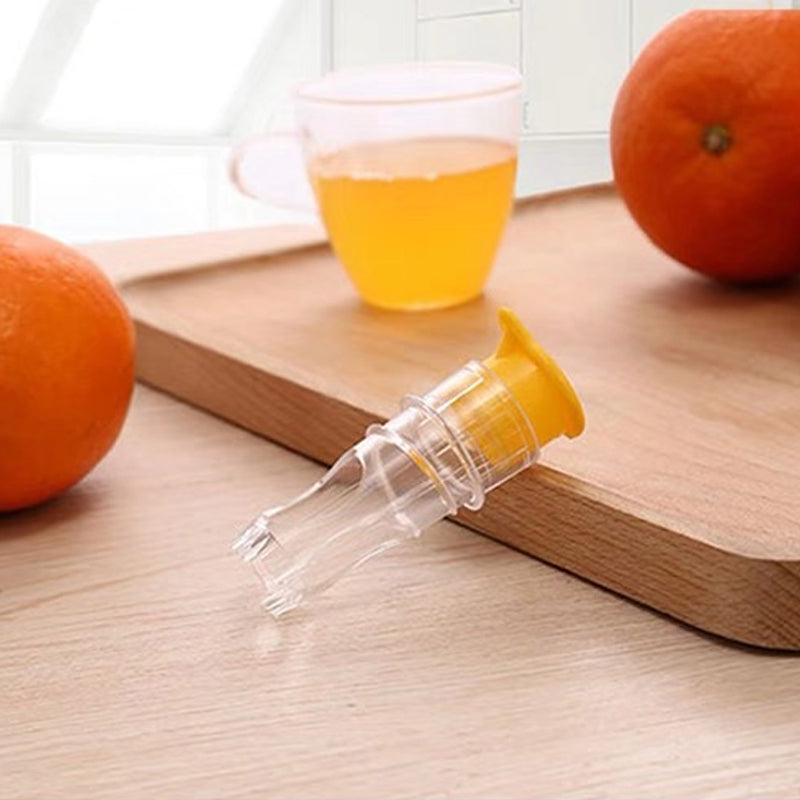 Small fruit juicer