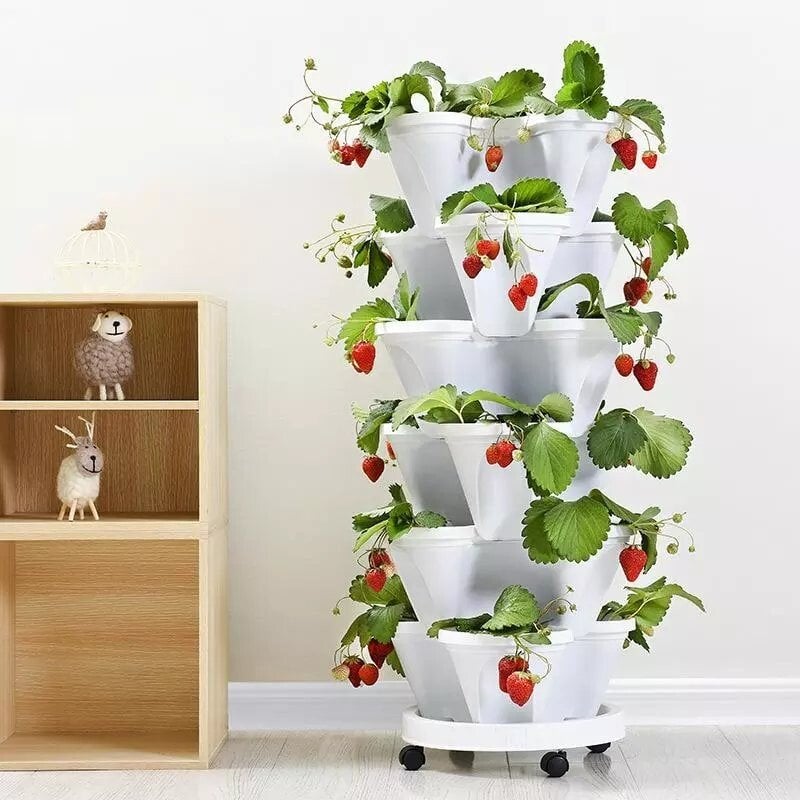 Plant Festival Special - Stand stack of planting strawberry plant pots