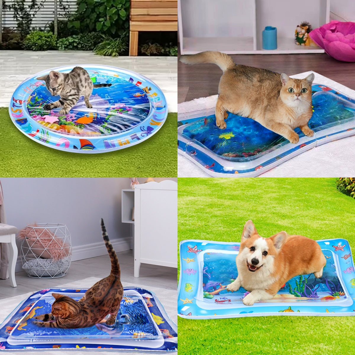 🔥Summer Hot Sale - 50% Off😻Pet Water Sensor Pad