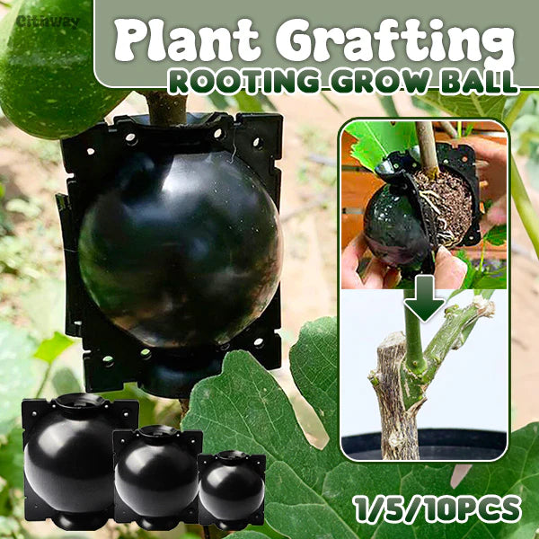 Reusable Plant Rooting Grow Ball