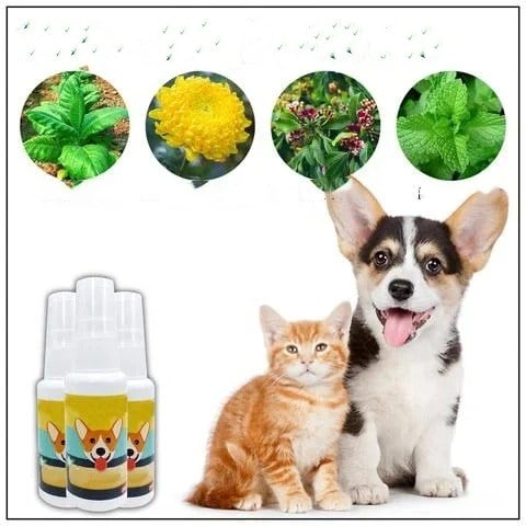 Pet Potty Here Training Spray